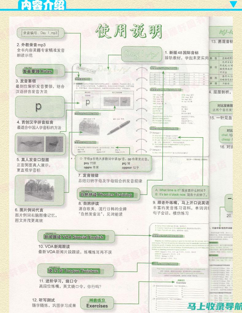 零基础入门SEO优化：从零开始掌握搜索引擎优化技巧